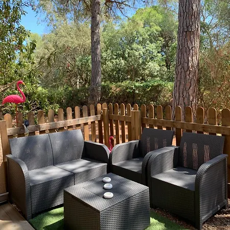 Climatisé Avec Piscine Appartamento