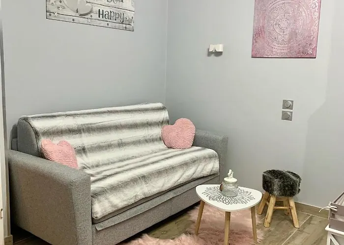 Climatise Avec Piscine *